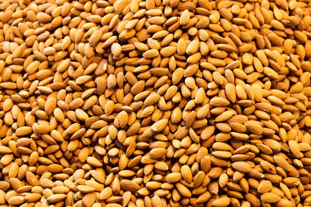 25 Alimentos que Ayudan a Reducir el Colesterol